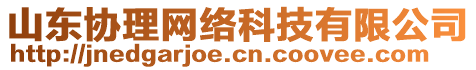 山東協(xié)理網(wǎng)絡(luò)科技有限公司