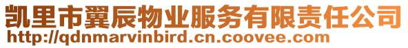 凱里市翼辰物業(yè)服務(wù)有限責(zé)任公司