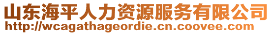山東海平人力資源服務(wù)有限公司