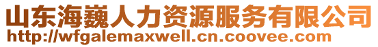 山東海巍人力資源服務有限公司