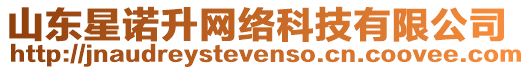 山東星諾升網絡科技有限公司