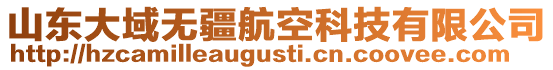 山東大域無疆航空科技有限公司
