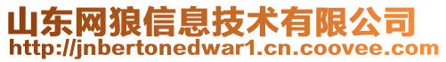 山東網(wǎng)狼信息技術(shù)有限公司