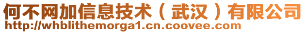 何不網加信息技術（武漢）有限公司