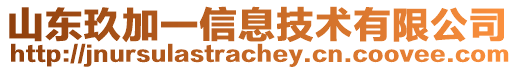 山東玖加一信息技術(shù)有限公司