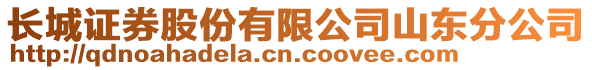 長城證券股份有限公司山東分公司