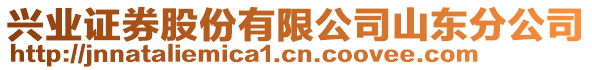 興業(yè)證券股份有限公司山東分公司