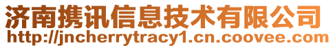 濟(jì)南攜訊信息技術(shù)有限公司