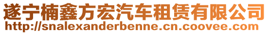 遂寧楠鑫方宏汽車租賃有限公司