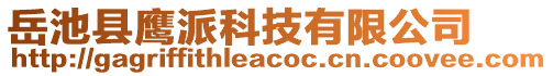 岳池縣鷹派科技有限公司