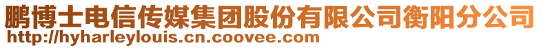 鵬博士電信傳媒集團股份有限公司衡陽分公司