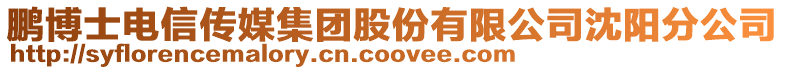 鵬博士電信傳媒集團(tuán)股份有限公司沈陽分公司