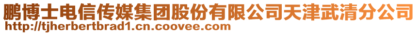 鵬博士電信傳媒集團(tuán)股份有限公司天津武清分公司