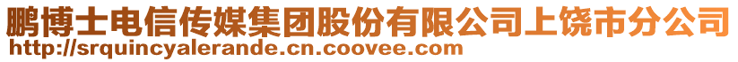 鵬博士電信傳媒集團股份有限公司上饒市分公司