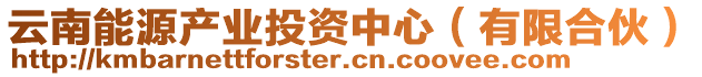 云南能源產(chǎn)業(yè)投資中心（有限合伙）