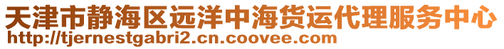 天津市靜海區遠洋中海貨運代理服務中心