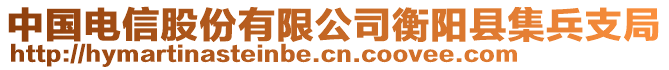 中國(guó)電信股份有限公司衡陽(yáng)縣集兵支局