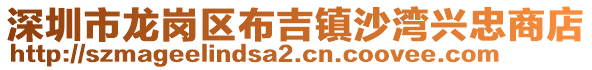 深圳市龍崗區(qū)布吉鎮(zhèn)沙灣興忠商店