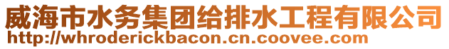 威海市水務(wù)集團(tuán)給排水工程有限公司