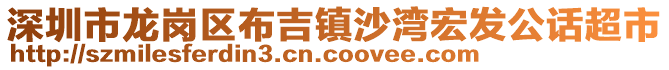 深圳市龍崗區(qū)布吉鎮(zhèn)沙灣宏發(fā)公話超市