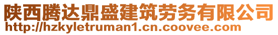 陜西騰達(dá)鼎盛建筑勞務(wù)有限公司