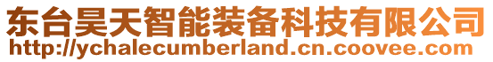 東臺(tái)昊天智能裝備科技有限公司