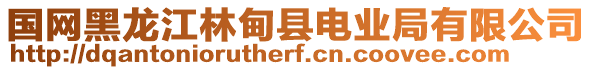 國網黑龍江林甸縣電業局有限公司