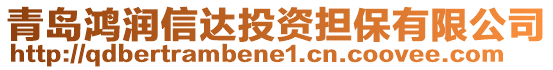 青島鴻潤信達(dá)投資擔(dān)保有限公司