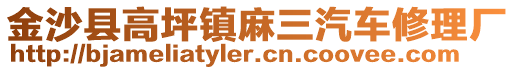 金沙縣高坪鎮(zhèn)麻三汽車修理廠