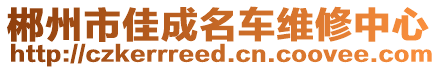 郴州市佳成名車維修中心