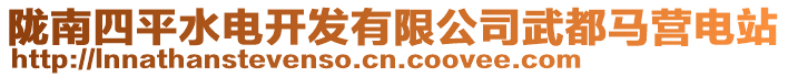 隴南四平水電開發(fā)有限公司武都馬營電站