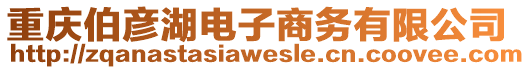 重慶伯彥湖電子商務(wù)有限公司