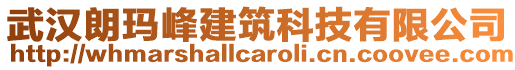 武漢朗瑪峰建筑科技有限公司