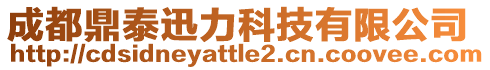 成都鼎泰迅力科技有限公司