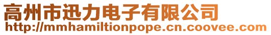高州市迅力電子有限公司