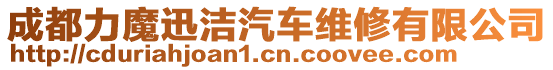 成都力魔迅潔汽車維修有限公司