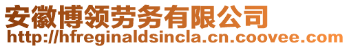 安徽博領勞務有限公司