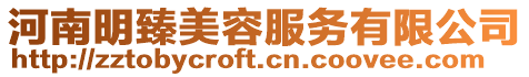 河南明臻美容服務有限公司