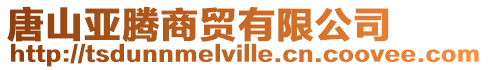 唐山亞騰商貿有限公司