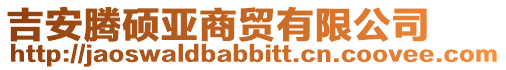吉安騰碩亞商貿有限公司