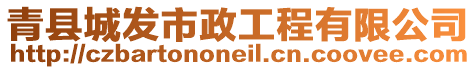 青縣城發(fā)市政工程有限公司