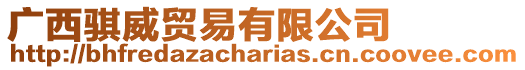 廣西騏威貿易有限公司
