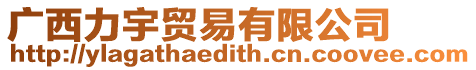 廣西力宇貿(mào)易有限公司