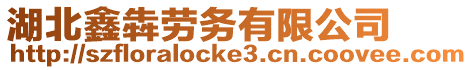 湖北鑫犇勞務有限公司
