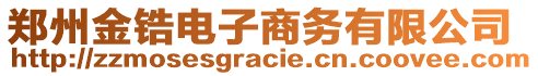 鄭州金鋯電子商務有限公司