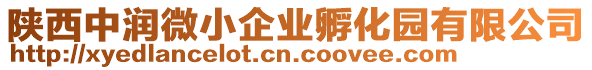 陜西中潤微小企業孵化園有限公司