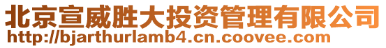 北京宣威勝大投資管理有限公司