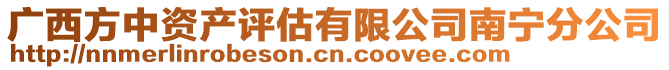 廣西方中資產(chǎn)評估有限公司南寧分公司