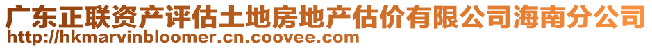 廣東正聯(lián)資產(chǎn)評估土地房地產(chǎn)估價有限公司海南分公司