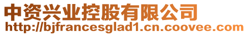 中資興業(yè)控股有限公司